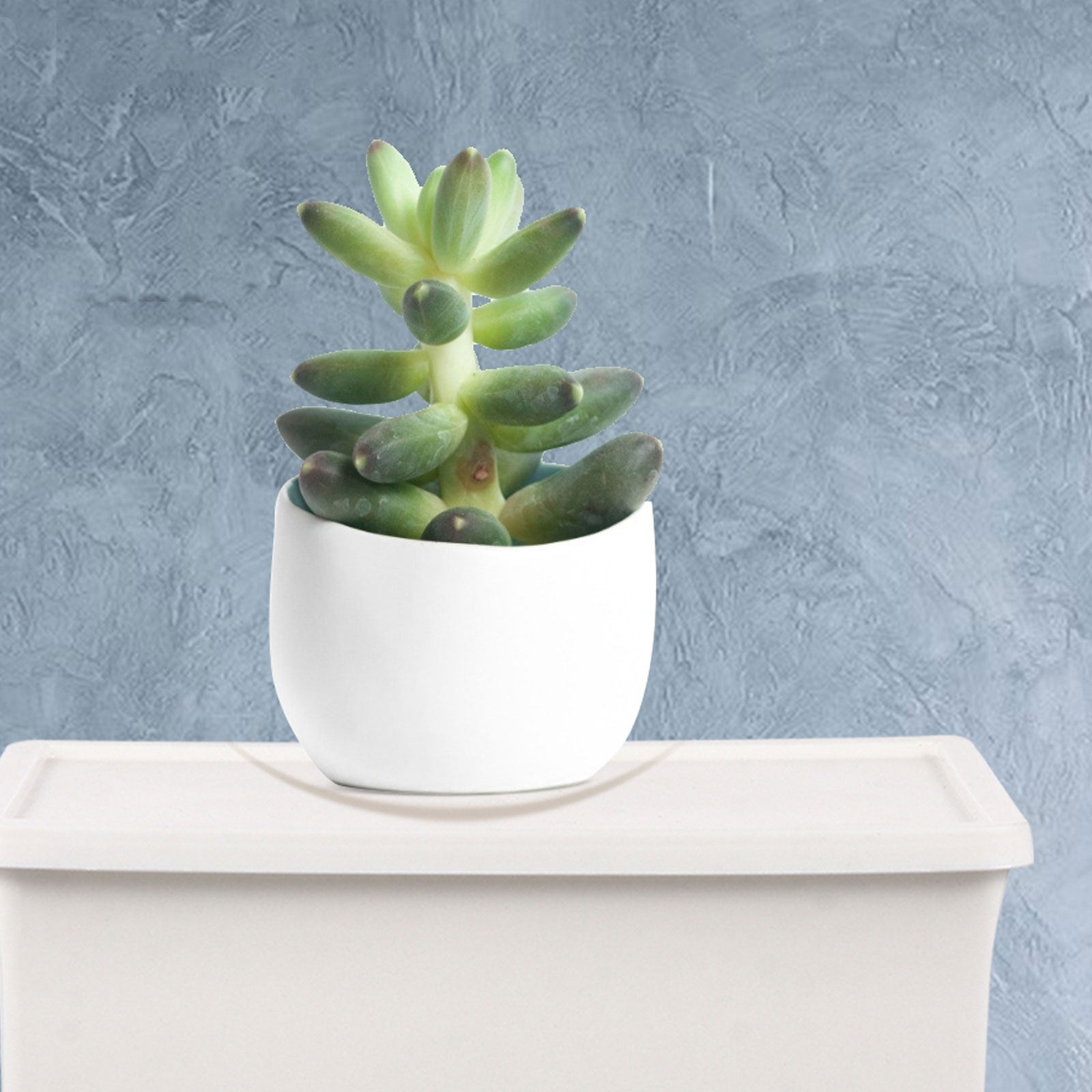 2 Stück Kreative Kunststoff-Au – Home Office Gadgets Bewertung und Preis